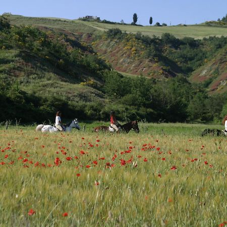 Penzion Il Poggio Celle sul Rigo Exteriér fotografie