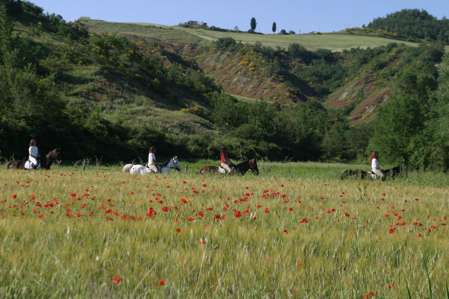 Penzion Il Poggio Celle sul Rigo Exteriér fotografie