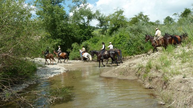 Penzion Il Poggio Celle sul Rigo Exteriér fotografie
